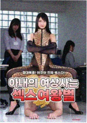 剧情解析速查